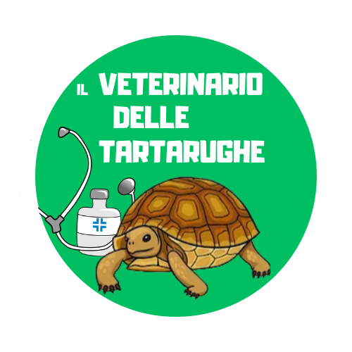 IL VETERINARIO DELLE TARTARUGHE